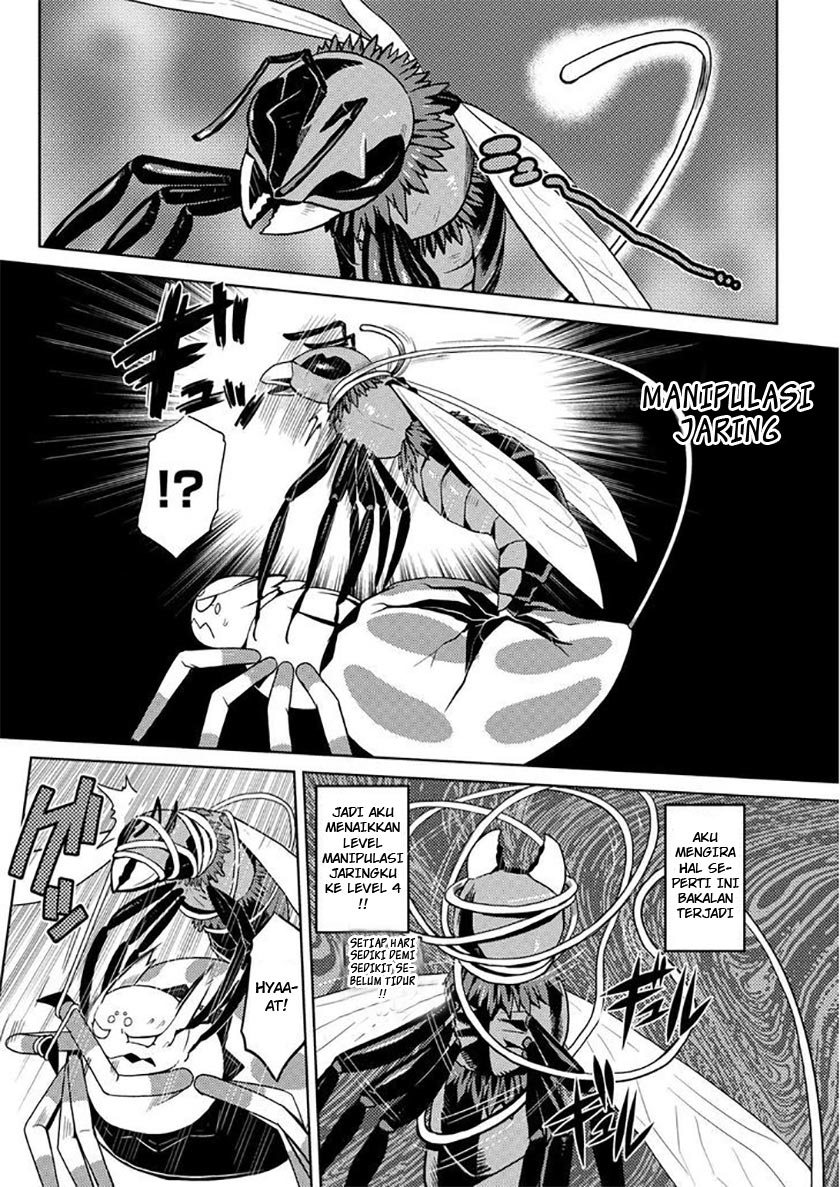 Kumo desu ga, Nani Ka?